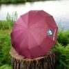 BMW Umbrella, Strong 12-Ribs | Auto Open and Auto Close